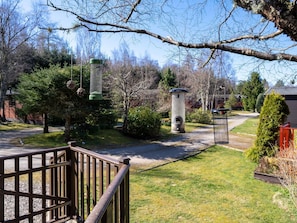 Arbre, Arbuste, Jardin, Pelouse, Aménagement Paysager, Parc, Cour, Arrière-Cour, Passerelle, À Feuilles Persistantes
