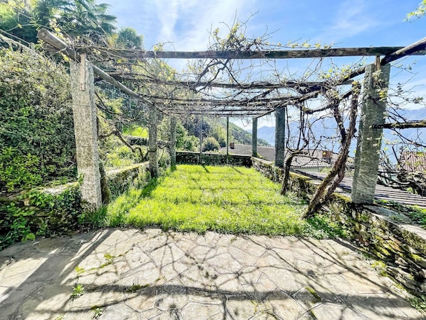 Grün, Sonnenlicht, Garten, Zaun, Walkway, Plantage, Botanischer Garten, Stockfotografie