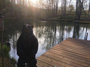 Overnatningsstedets område