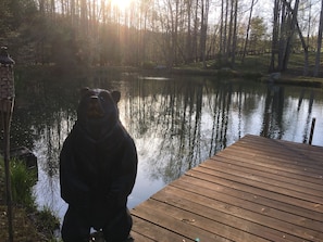 Overnatningsstedets område