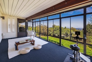 Here is the meditation room with exercise equipment and mountain view
