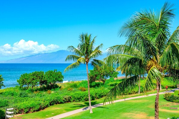 HKH-201 Lush green lawns, tropical palms, and endless ocean horizons create a serene, postcard-perfect Maui escape