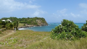 Imagen general