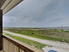 Front Porch Views