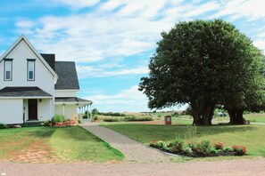 Pathway to house