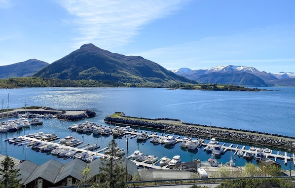 view-from-room