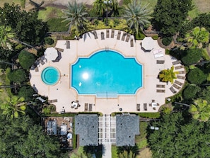 Divine into the Resort Pool
