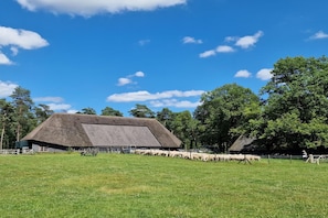 Dans la région [été] (&gt;5 km)