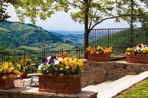Blumentopf, Hügel, Frühling, Zimmerpflanze, Garten, Zaun, Landscaping, Tisch Im Freien, Floristik