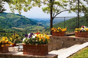 Blumentopf, Hügel, Frühling, Zimmerpflanze, Garten, Zaun, Landscaping, Tisch Im Freien, Floristik