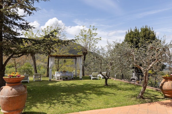 Furniture, Garden, Backyard, Landscaping, Outdoor Furniture, Chair, Yard, Lawn, Flowerpot, Shade