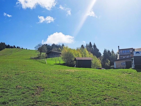 Gras, Grün, Wiese, Sommer, Einfach, Grundstueck, Ländliches Gebiet, Weide, Landschaft, Wiese