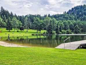 Baum, Natürliche Landschaft, Bank, Teich, See, Reflexion, Wald, Lärche, Bergstation, Reservoir