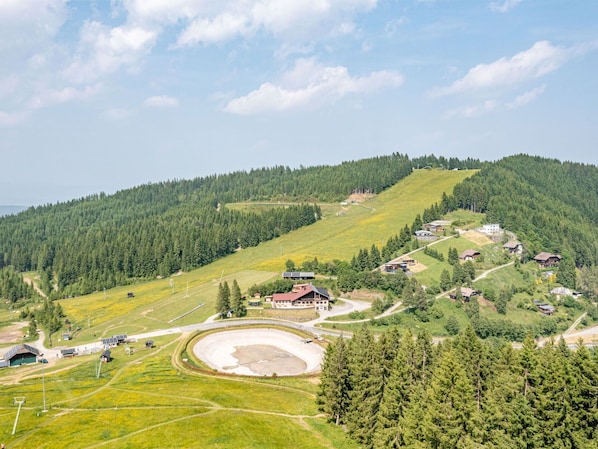 Tree, Grass, Hill, Highland, Landscape, Hill Station, Grassland, Plain, Land Lot