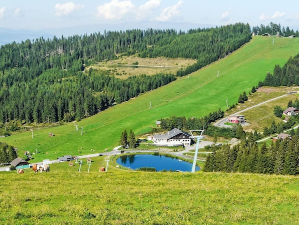 Herbe, Prairie, Montagnes, Paysage, Prairie, Plaine, Pâturage, Lot Terre, Zone Rurale