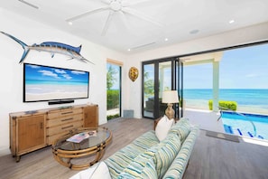 Living area with television