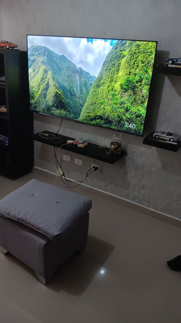 Television