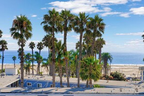 Wake up to endless ocean views and swaying palms!