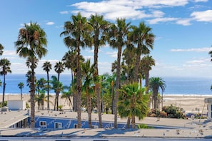 Wake up to endless ocean views and swaying palms!