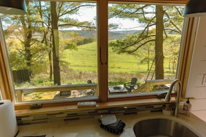 'Looking out the Kitchen Window