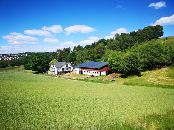 Övrigt