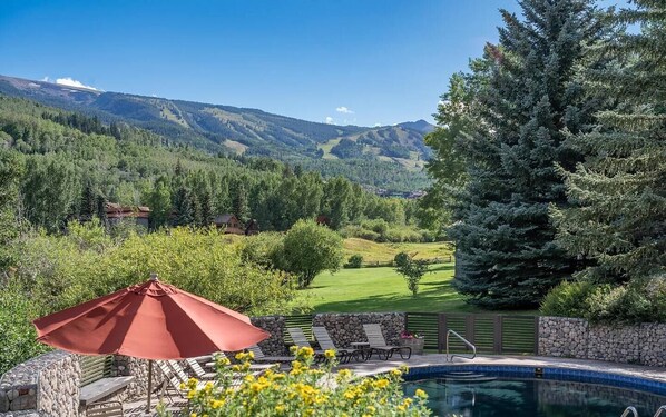 Complex pool with a view.