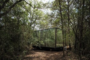 A Mirror Cabin Blending In With A Lush Forest
