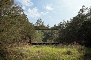 A Mirror Cabin Hidden In Nature