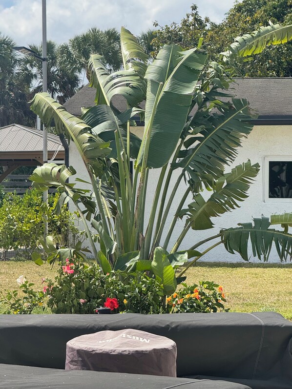 Jardines del alojamiento