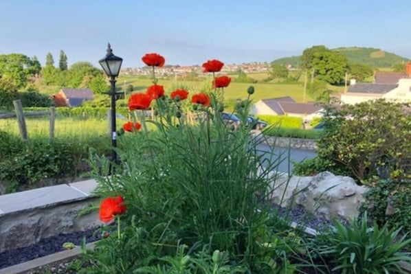 Views from front garden entrance