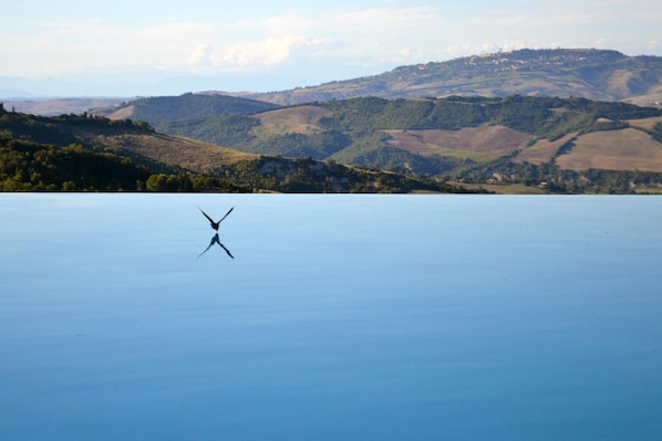 Podere Palazzone - Toscana Autentica. Infinity Pool über den Hügeln der Toskana.