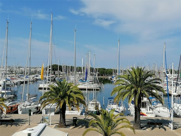 Marina