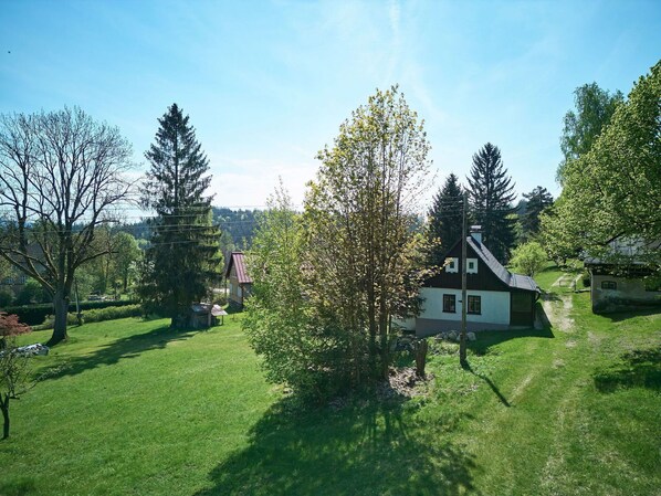 Arbre, Feuille, Arbuste, Maison, Chalet, Lot Terre, Pelouse, Domicile, Zone Rurale, Jardin