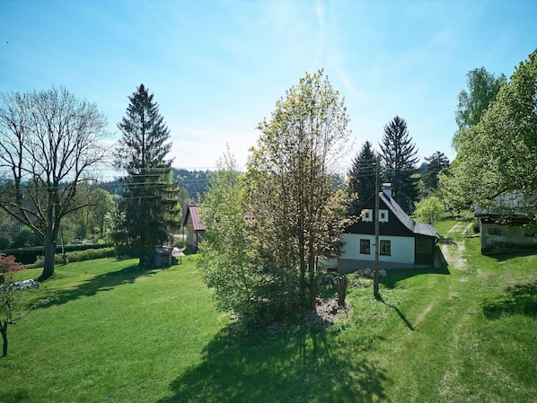 Arbre, Feuille, Arbuste, Maison, Chalet, Lot Terre, Pelouse, Domicile, Zone Rurale, Jardin