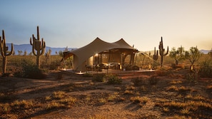 Tent (6)