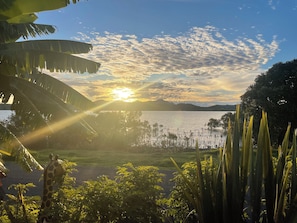 Stunning and proximate harbour view