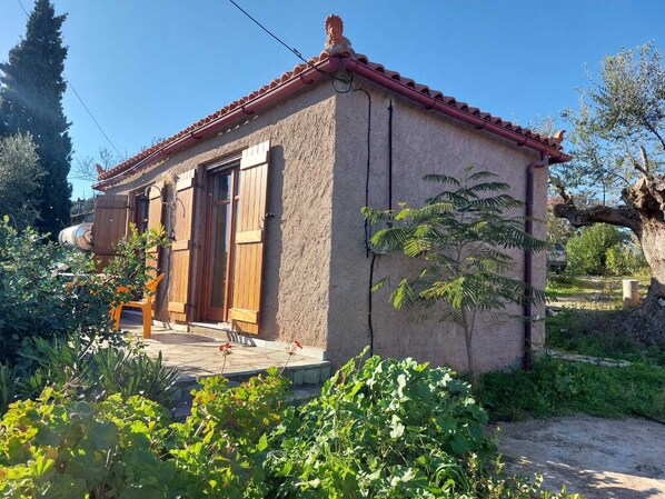 Main view