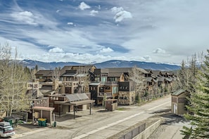 MC306 View