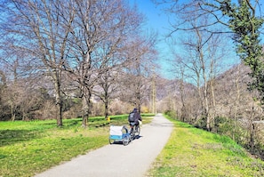 Tree, Wheel, Recreation, Landscape, Bicycle, Bicycle Wheel, Spring, Leisure, Trail