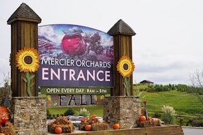 Mercier Orchards spans over 300 acres and has become a beloved destination for both locals and visitors seeking fresh produce, and baked goods.