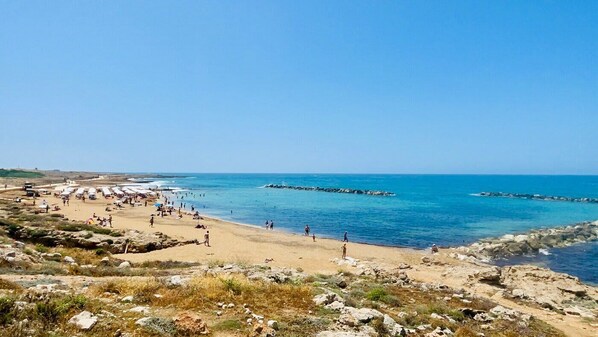 Venus Beach (photo cred: Trip Advisor)