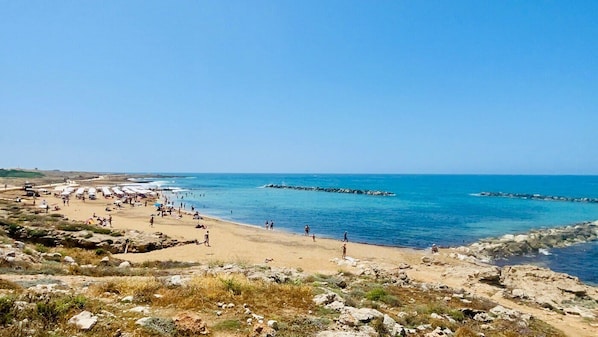Venus Beach (photo cred: Trip Advisor)