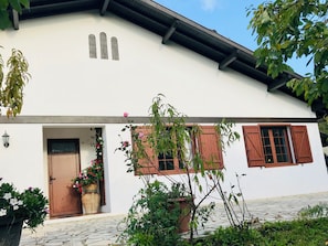 Exteriör