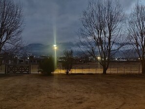 Miscellaneous