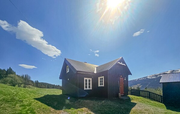 Exteriör