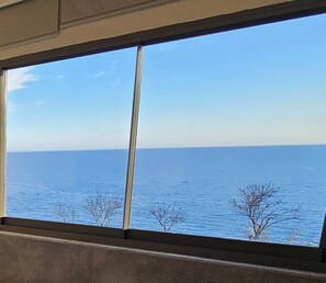 Utsikt mot havet/stranden