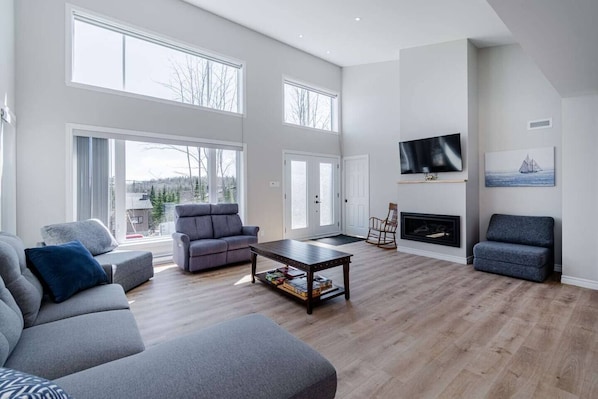 Living room (with sofa-bed and gas fireplace) (1)