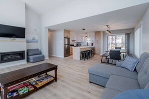Living room (with sofa-bed and gas fireplace) (2)