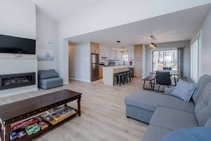 Living room (with sofa-bed and gas fireplace) (2)