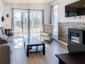Living room (gas fireplace and sofa-bed)